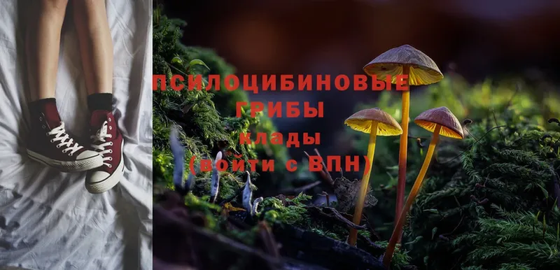 Псилоцибиновые грибы MAGIC MUSHROOMS Бикин